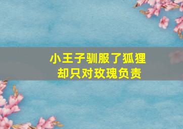 小王子驯服了狐狸 却只对玫瑰负责